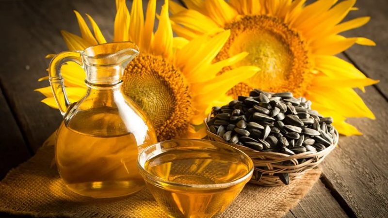 El girasol argentino marca un récord histórico en exportaciones