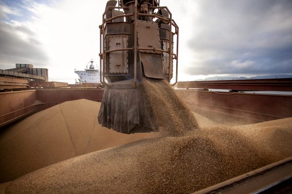La región Centro concentrará más del 75% de la producción argentina de soja en la campaña 2025/26
