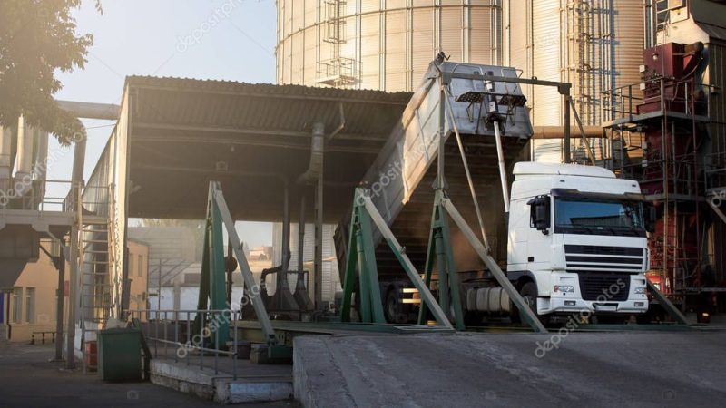 Récord de cosecha y menos dólares: la otra cara del boom exportador del agro