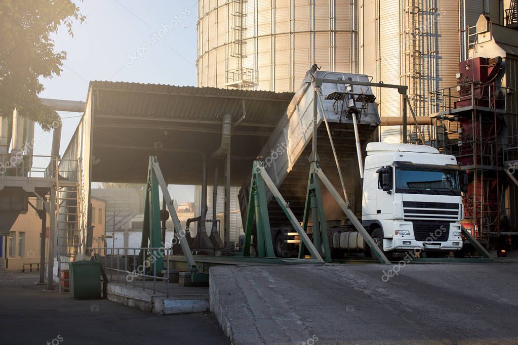 Récord de cosecha y menos dólares: la otra cara del boom exportador del agro