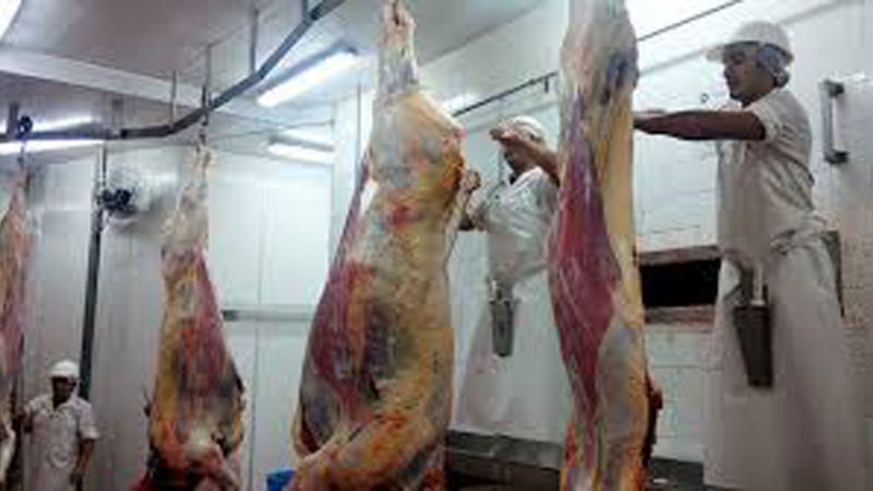 La faena vacuna cayó 7% en junio, aunque el mayor peso de los animales atenúa el impacto en la producción de carne
