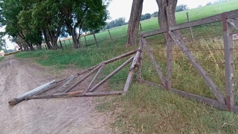 Buscan reforzar la seguridad rural con una ley contra la caza furtiva en campos privados