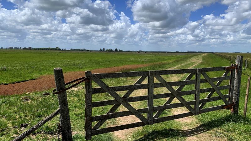 El Gobierno impulsa la derogación de la Ley de Arrendamientos Rurales y abre un nuevo debate en el campo