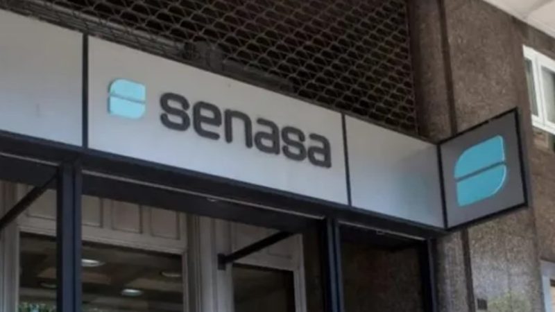 Senasa ordenó el reempadronamiento obligatorio de productores: habrá 90 días para actualizar el Renspa