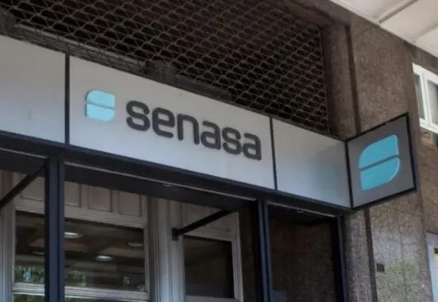 Senasa ordenó el reempadronamiento obligatorio de productores: habrá 90 días para actualizar el Renspa