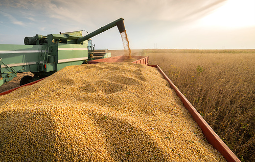 El agro alcanzó un nuevo récord de actividad y cerró junio con una suba del 3 %