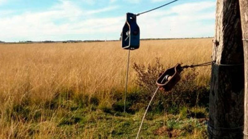 Crece la preocupación por la inseguridad rural en Lobería: la Sociedad Rural pidió respuestas urgentes