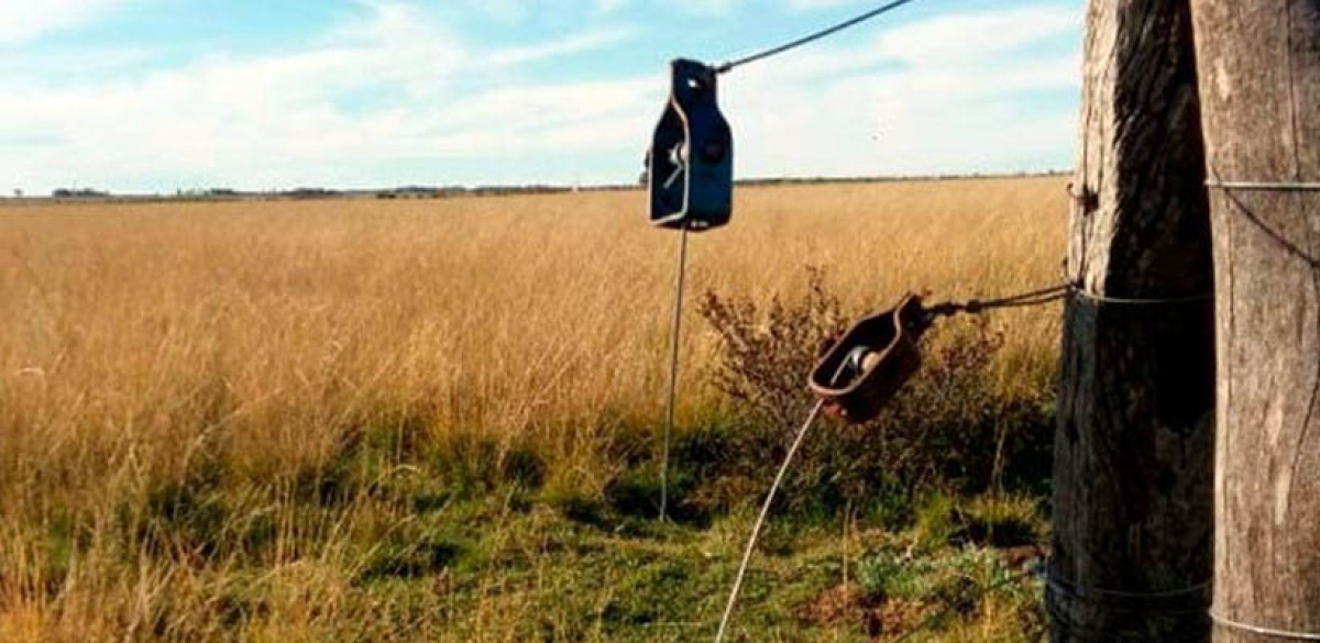 Crece la preocupación por la inseguridad rural en Lobería: la Sociedad Rural pidió respuestas urgentes