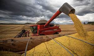 Agroexportadoras liquidaron más de US$ 3.000 millones en junio y anticipan un cambio en el ritmo de ingresos tras el regreso de las retenciones