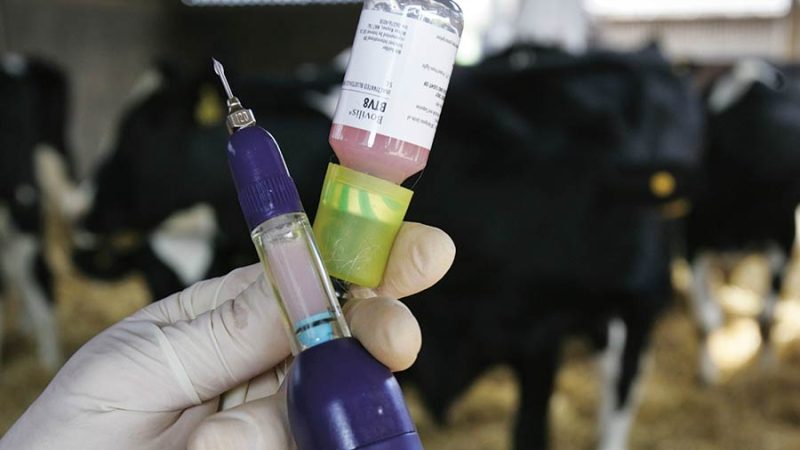 Crece el rechazo rural al nuevo sistema de trazabilidad de medicamentos veterinarios