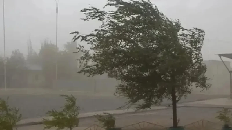 ¿se activó el fenómeno de El Niño?