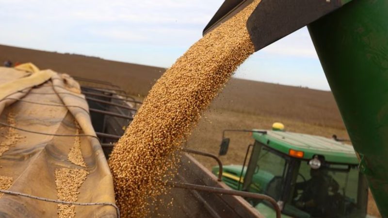 Exportaciones de granos: julio cerró con fuerte actividad y mayor dinamismo comercial