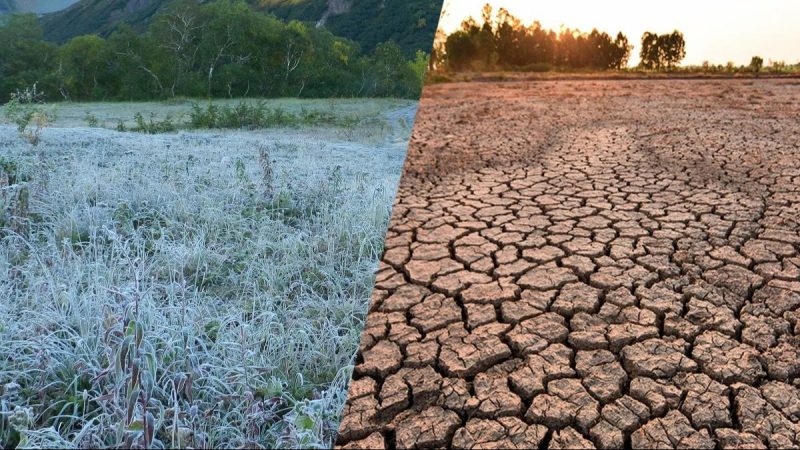 El Niño gana fuerza y podría marcar la próxima campaña agrícola argentina