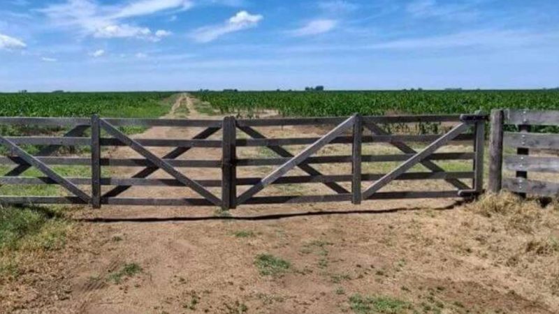 Tierras extranjerizadas: los números que obligan a mirar qué está pasando en nuestra región