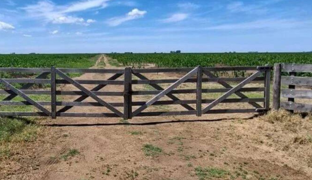 Tierras extranjerizadas: los números que obligan a mirar qué está pasando en nuestra región