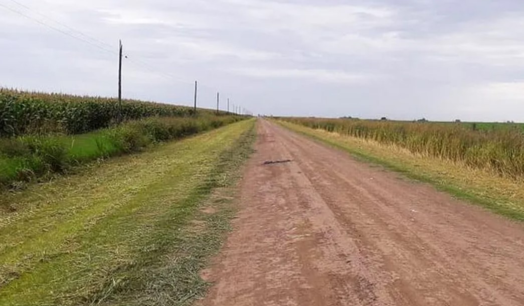 Caminos rurales en alerta: el clima obliga al campo a revisar su estrategia para la campaña 2026/27