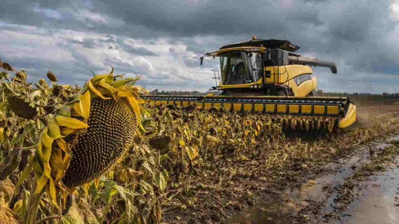 El agro argentino alcanzó en junio un nuevo máximo histórico de actividad