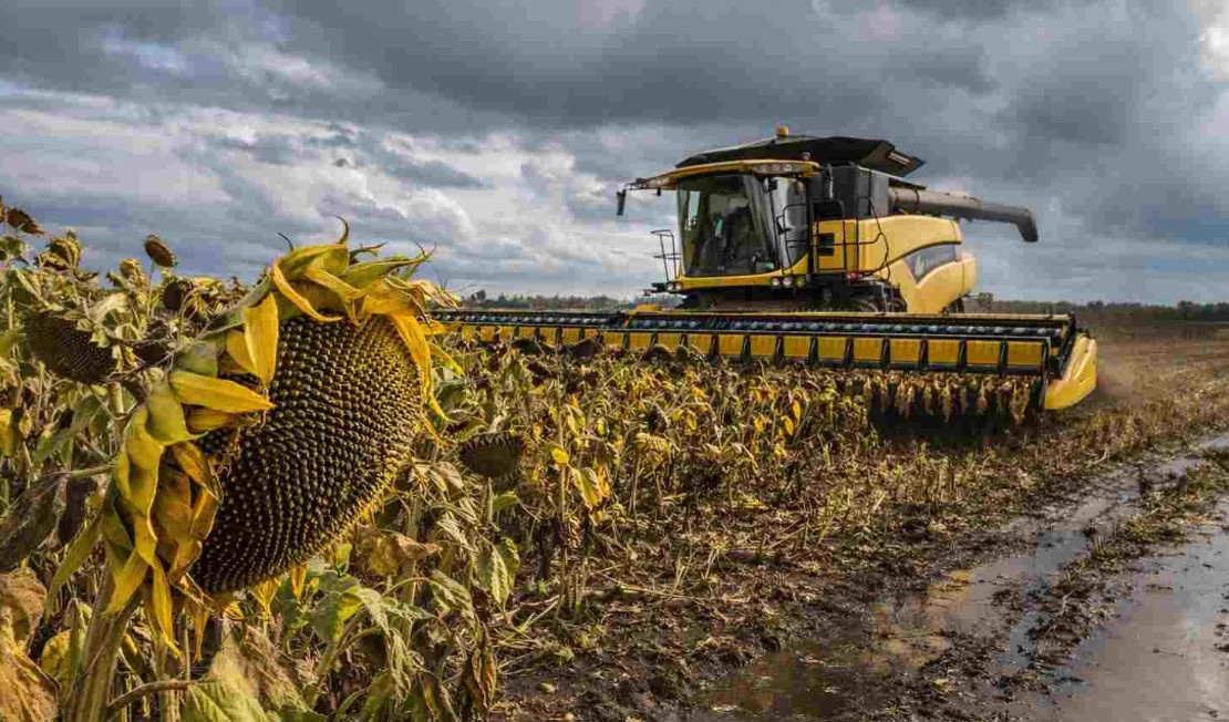 El agro argentino alcanzó en junio un nuevo máximo histórico de actividad