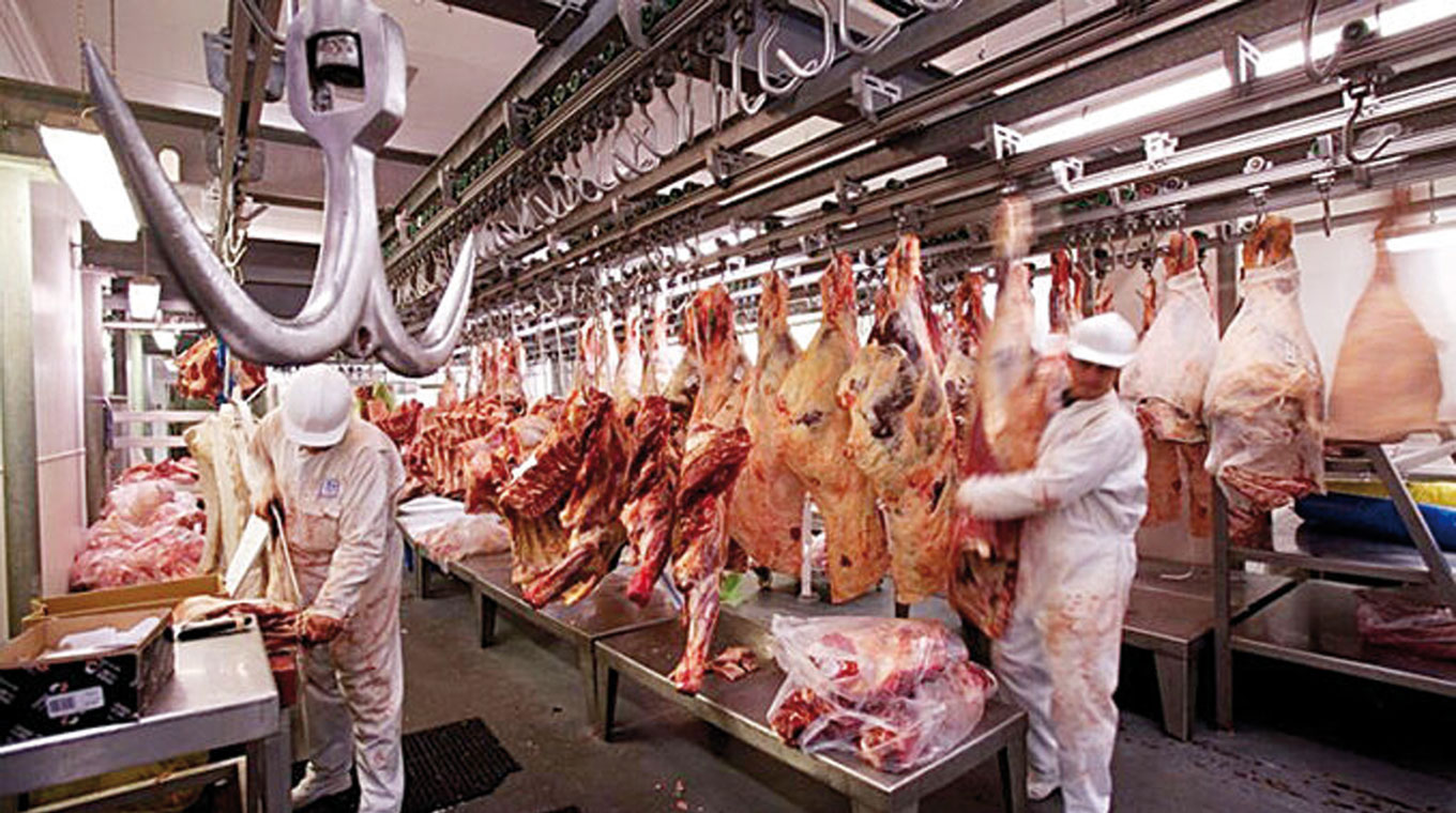Faena vacuna: cayó 12,2% en julio y se profundiza la menor oferta de hacienda
