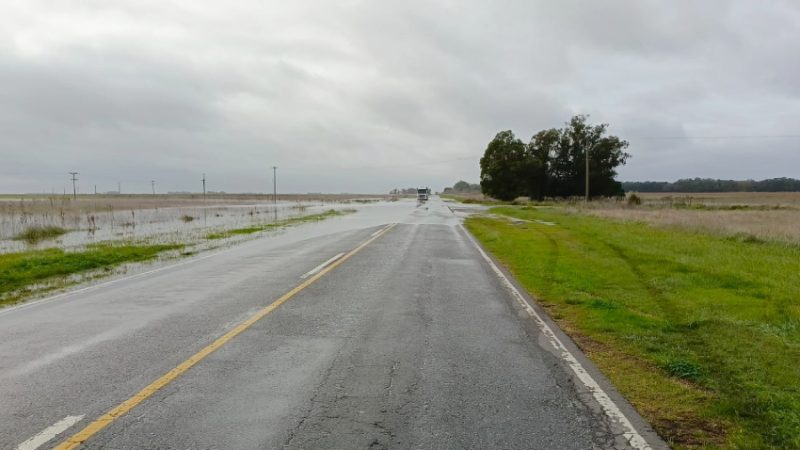 Editorial: Autovía 88: una deuda con el campo y con toda la región