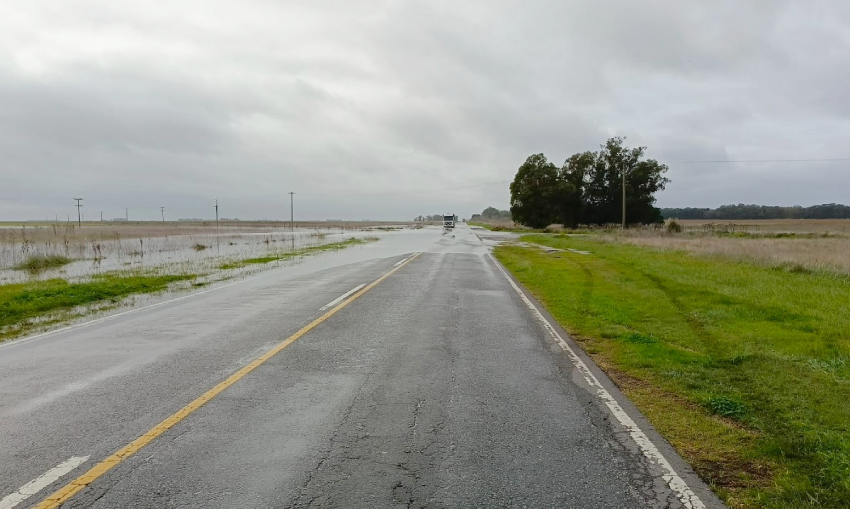 Editorial: Autovía 88: una deuda con el campo y con toda la región
