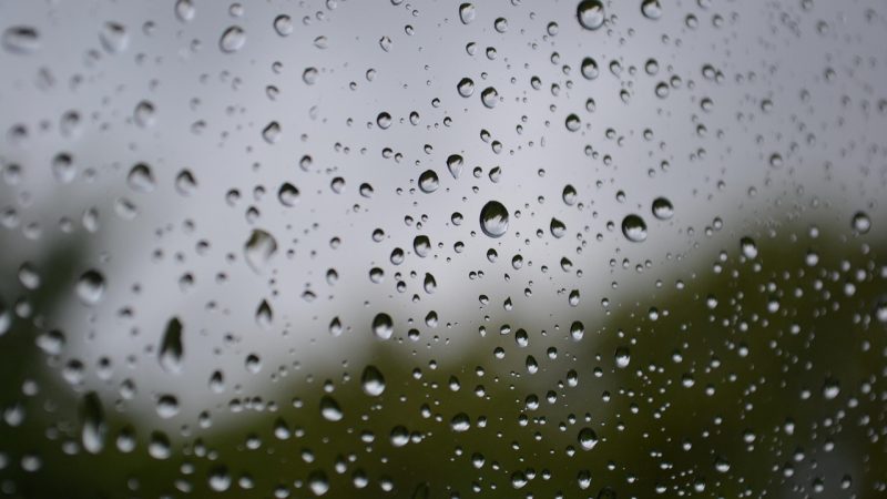 LA LLUVIA, UN DATO QUE VUELVE A ESTAR EN EL CENTRO DE LA ESCENA