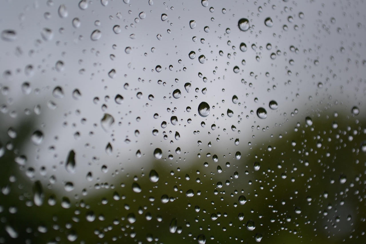 LA LLUVIA, UN DATO QUE VUELVE A ESTAR EN EL CENTRO DE LA ESCENA