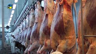 Cayó la faena vacuna en julio y el consumo de carne registró su nivel más bajo del año