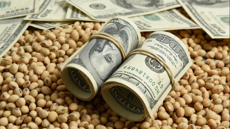 El campo aportaría US$35.200 millones en divisas durante 2026