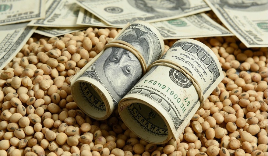 El campo aportaría US$35.200 millones en divisas durante 2026