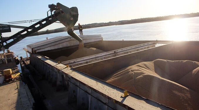 Soja y maíz sostienen el dinamismo del mercado argentino