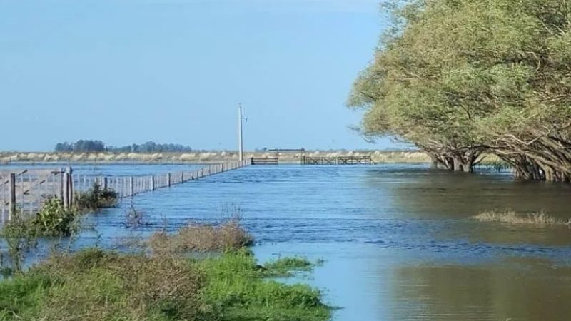 CUANDO EL AGUA AVANZA, LAS PRIORIDADES TAMBIÉN DEBEN CAMBIAR