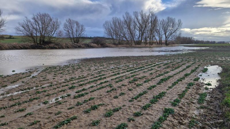 Necochea: declaran la emergencia agropecuaria por inundaciones