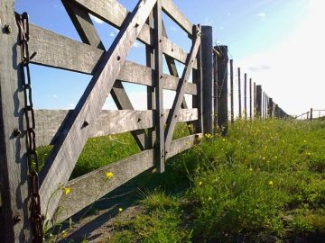 TIERRAS RURALES: UNA VENTANA QUE VUELVE A ABRIRSE