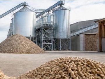 ENERGÍA FORESTAL: LOS PELLETS DE MADERA GANAN ESPACIO EN LA AGROINDUSTRIA