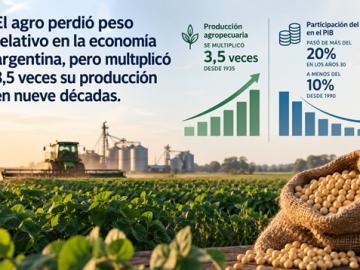 El sector agropeucuario argentino perdió participación relativa en la economía durante el último siglo, aunque su producción creció de manera sostenida, de acuerdo a un informe sobre agroindustria elaborado por Argendata.