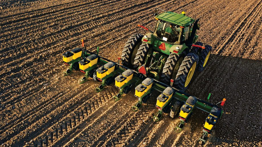 Girasol: La siembra alcanzó 50, 3 % del área proyectada.