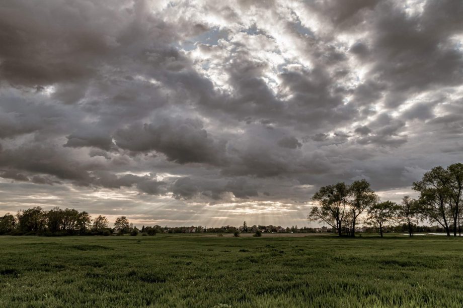 La persistencia de días nublados y la reducción de las horas de sol pueden afectar el crecimiento, el desarrollo de los principales cultivos agrícolas.