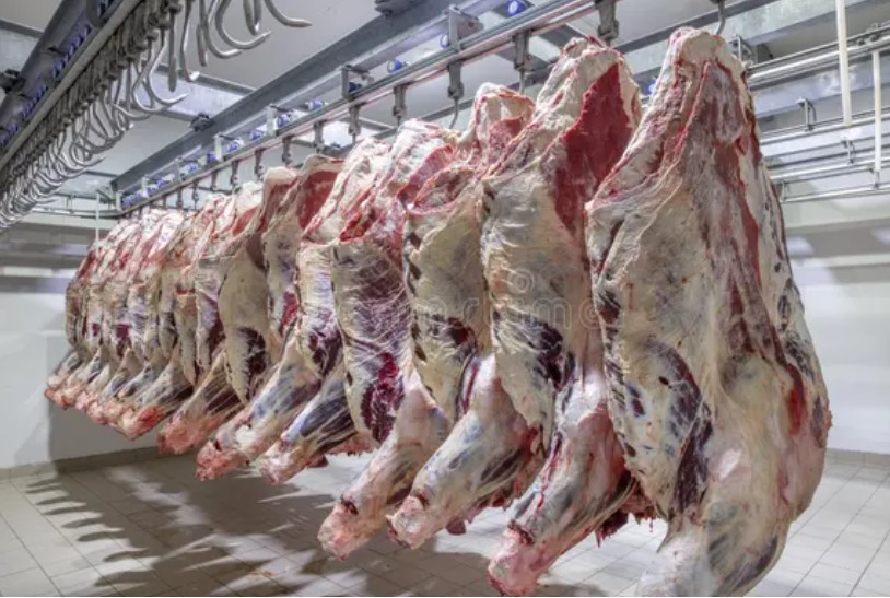 La ganadería argentina tiene potencial para crecer, pero necesita previsibilidad y mercados