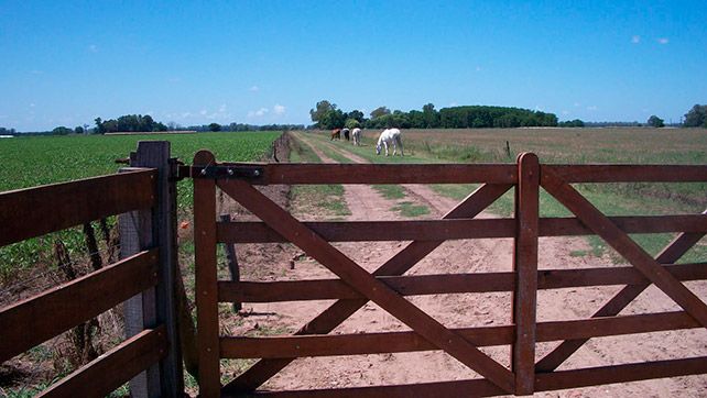 La Corte Suprema restableció provisoriamente las restricciones a la compra de tierras rurales por extranjeros