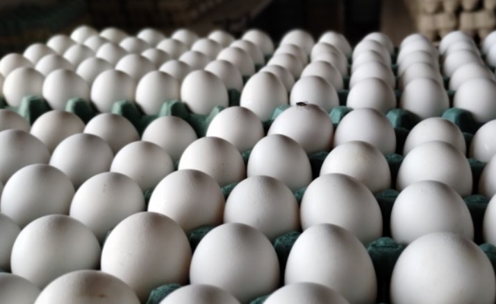Argentina se consolida como líder mundial en consumo de huevos